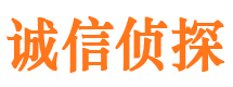 山阴市调查公司